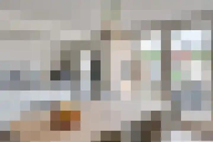 Bouvignehof 53 Helmond thumbnail 4