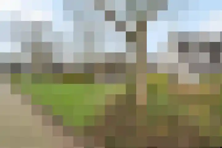 Bouvignehof 8 A Helmond thumbnail 29