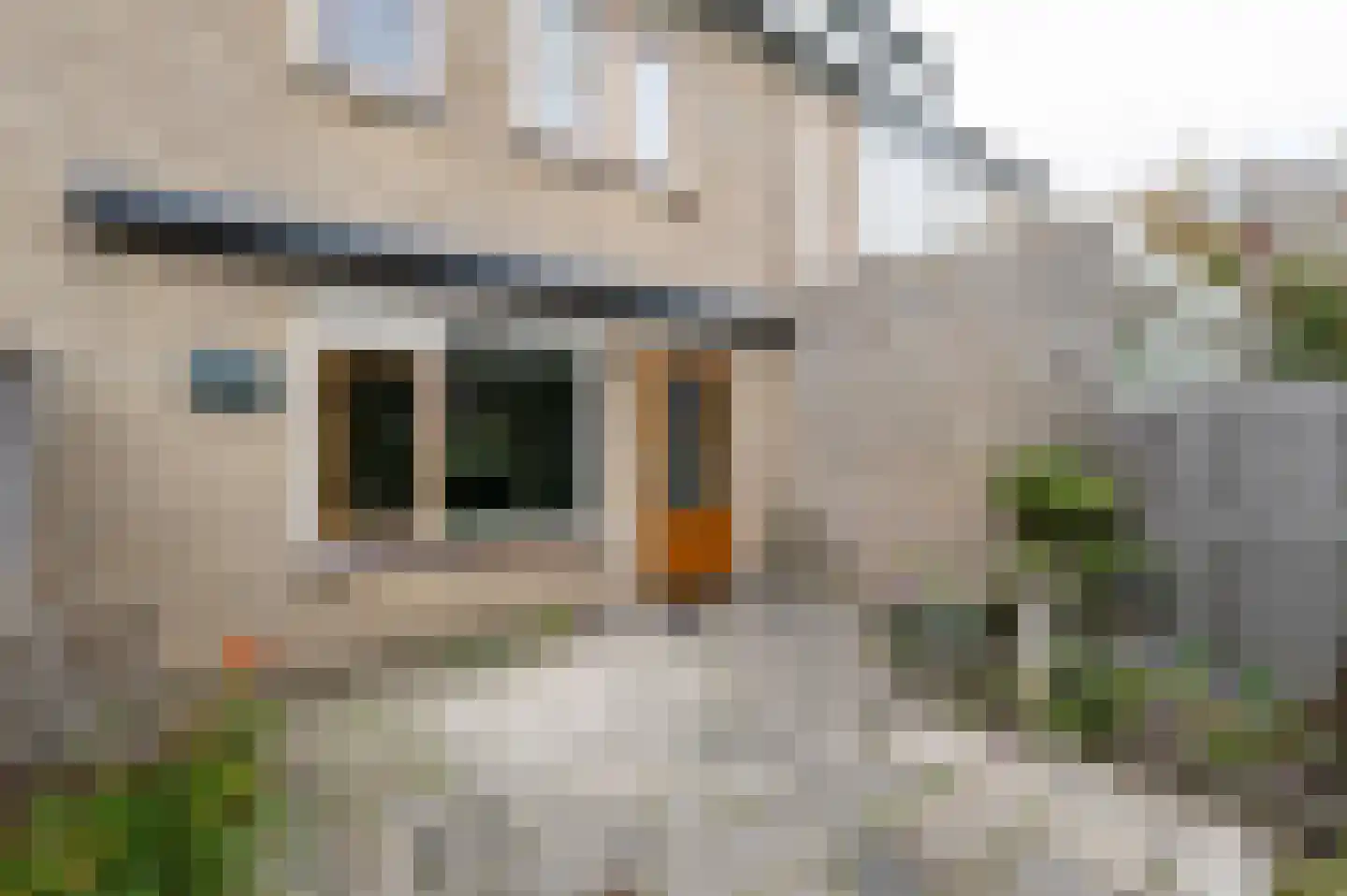 Bouvignestraat 31 Hellevoetsluis thumbnail 36