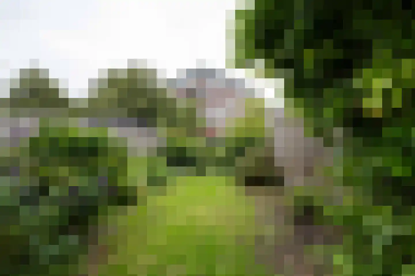 Bouvignestraat 31 Hellevoetsluis thumbnail 37