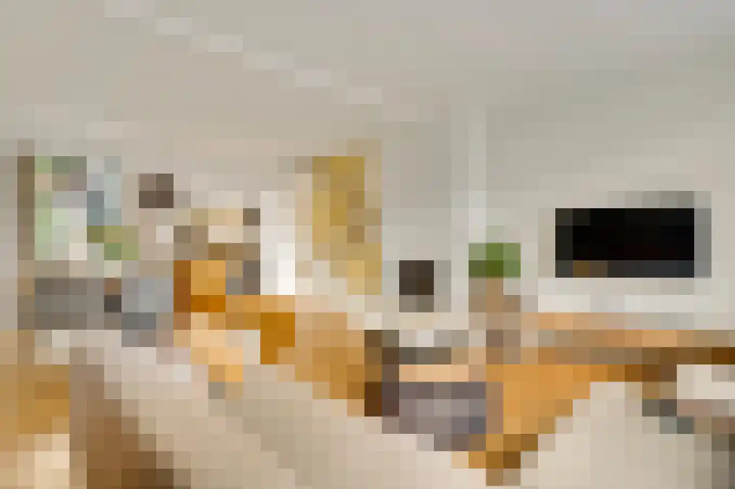 Bouwbergstraat 102 Schinveld thumbnail 8