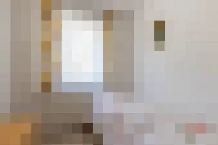 Bouwbergstraat 139 Schinveld thumbnail 27