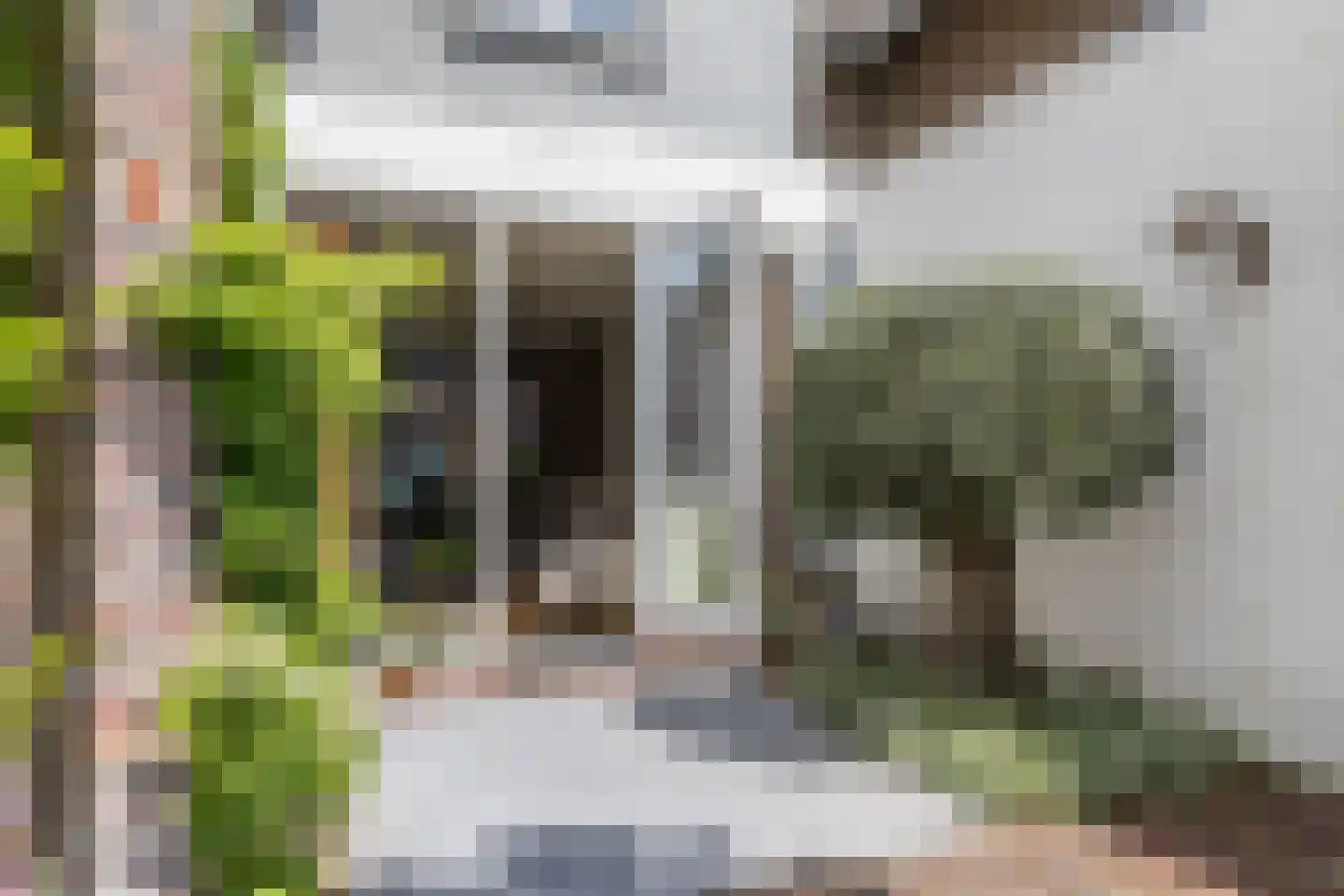 Bouwbergstraat 2 Schinveld thumbnail 42