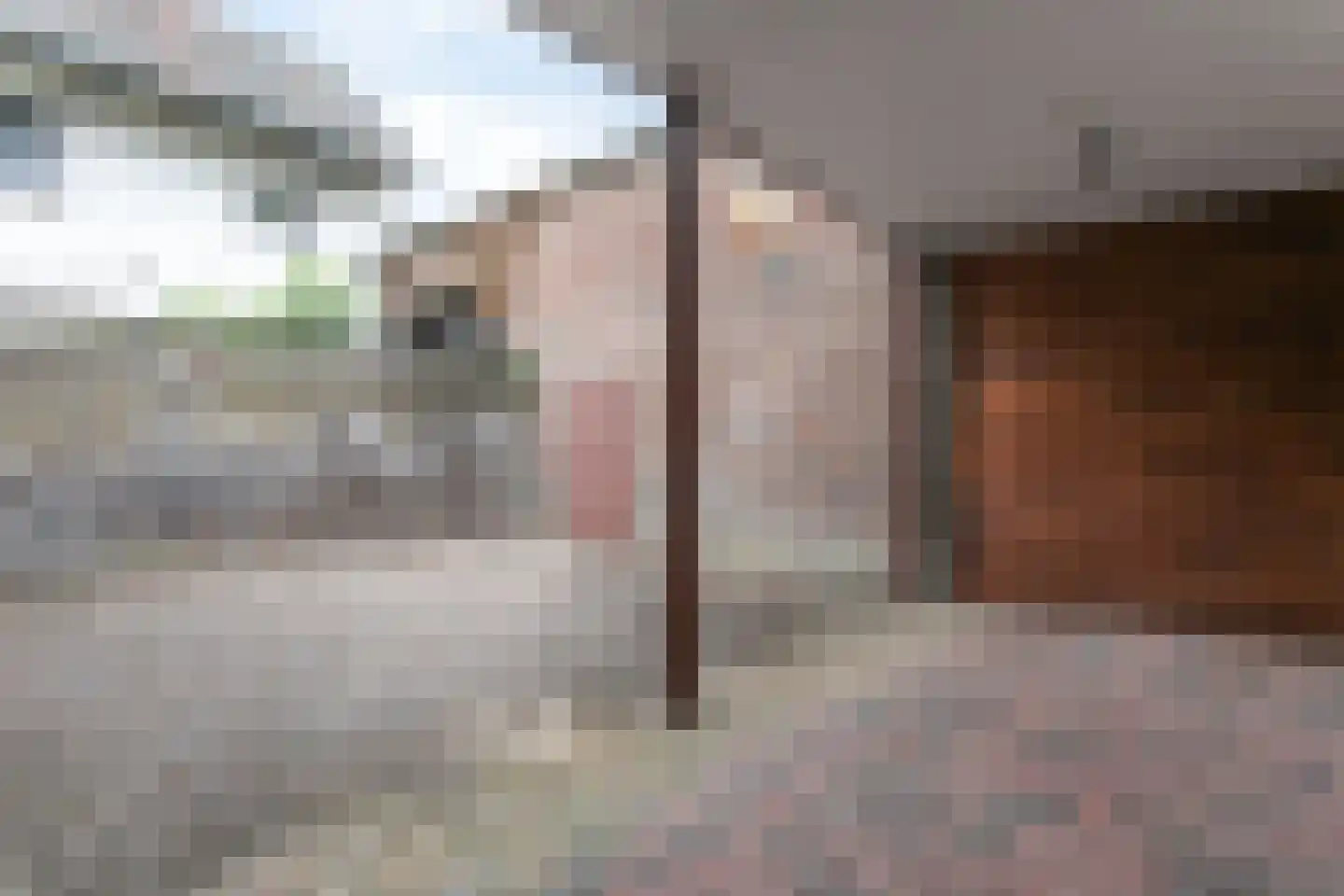 Bouwbergstraat 23 Schinveld thumbnail 29