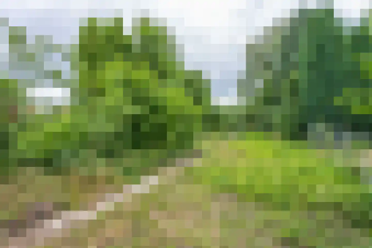 Bouwbergstraat 23 Schinveld thumbnail 35