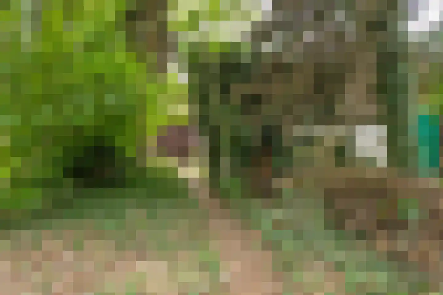 Bouwbergstraat 23 Schinveld thumbnail 36
