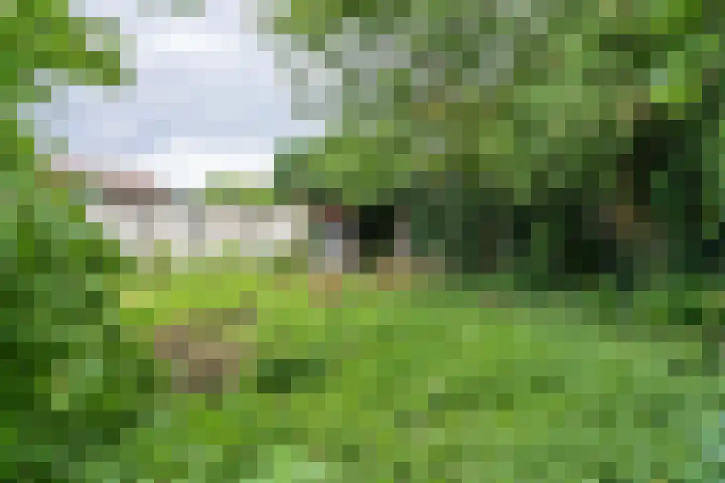 Bouwbergstraat 23 Schinveld thumbnail 37