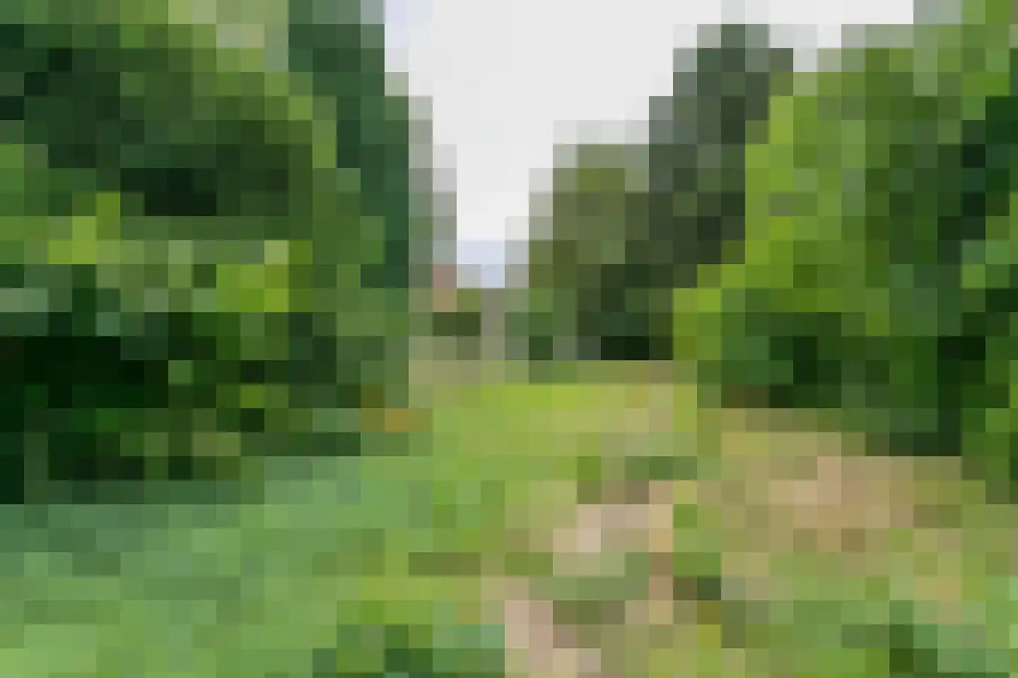 Bouwbergstraat 23 Schinveld thumbnail 38