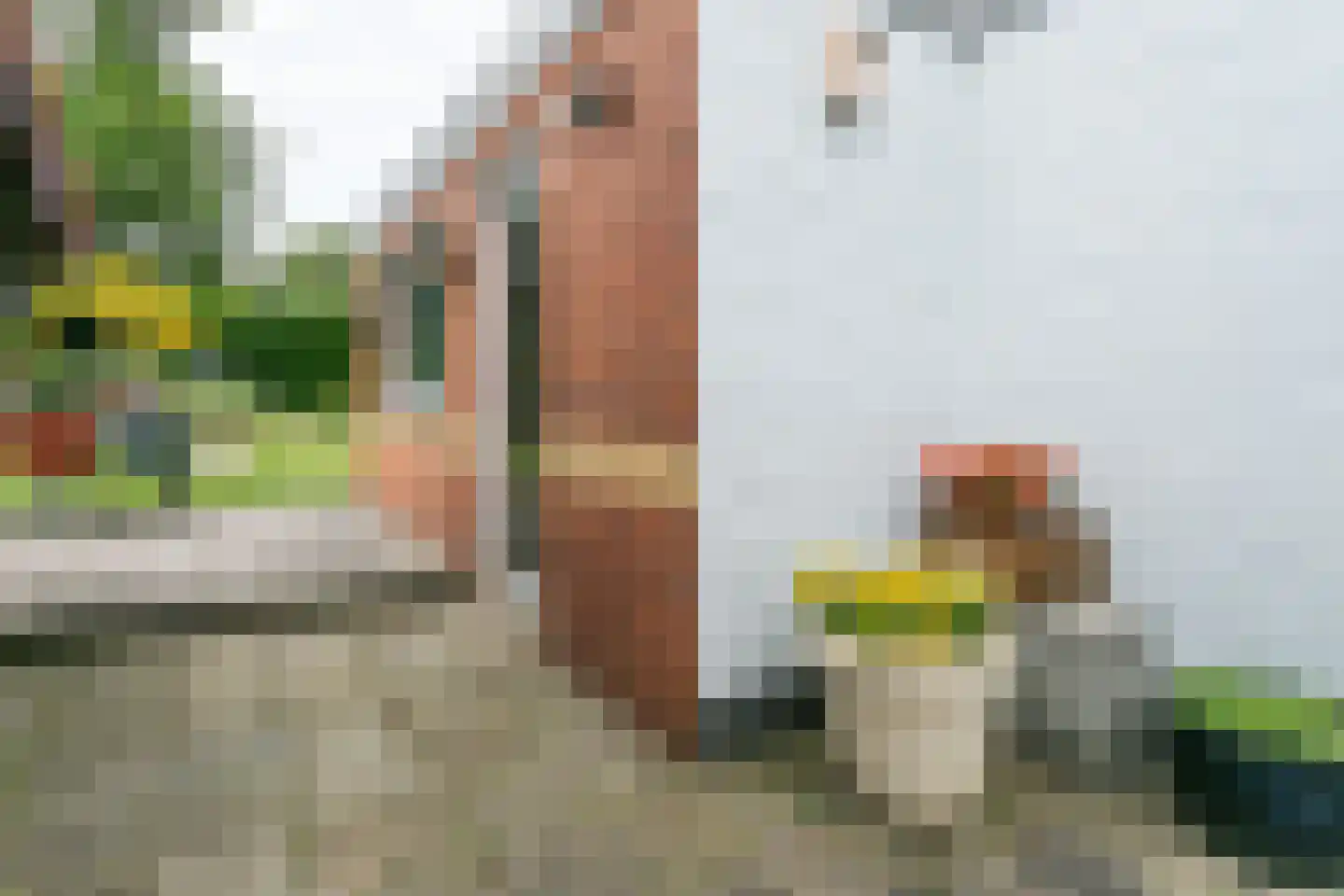 Bouwbergstraat 34 Schinveld thumbnail 31