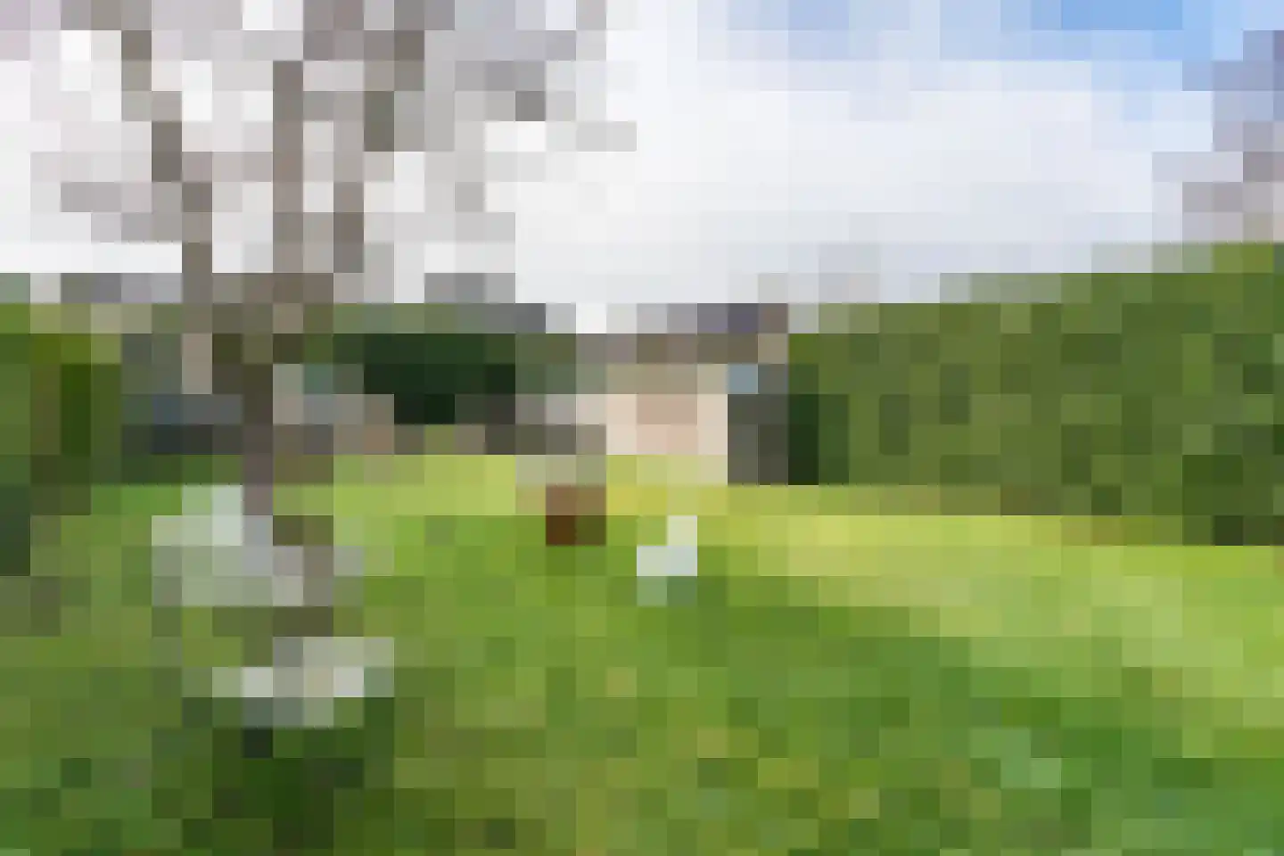 Bouwbergstraat 34 Schinveld thumbnail 33