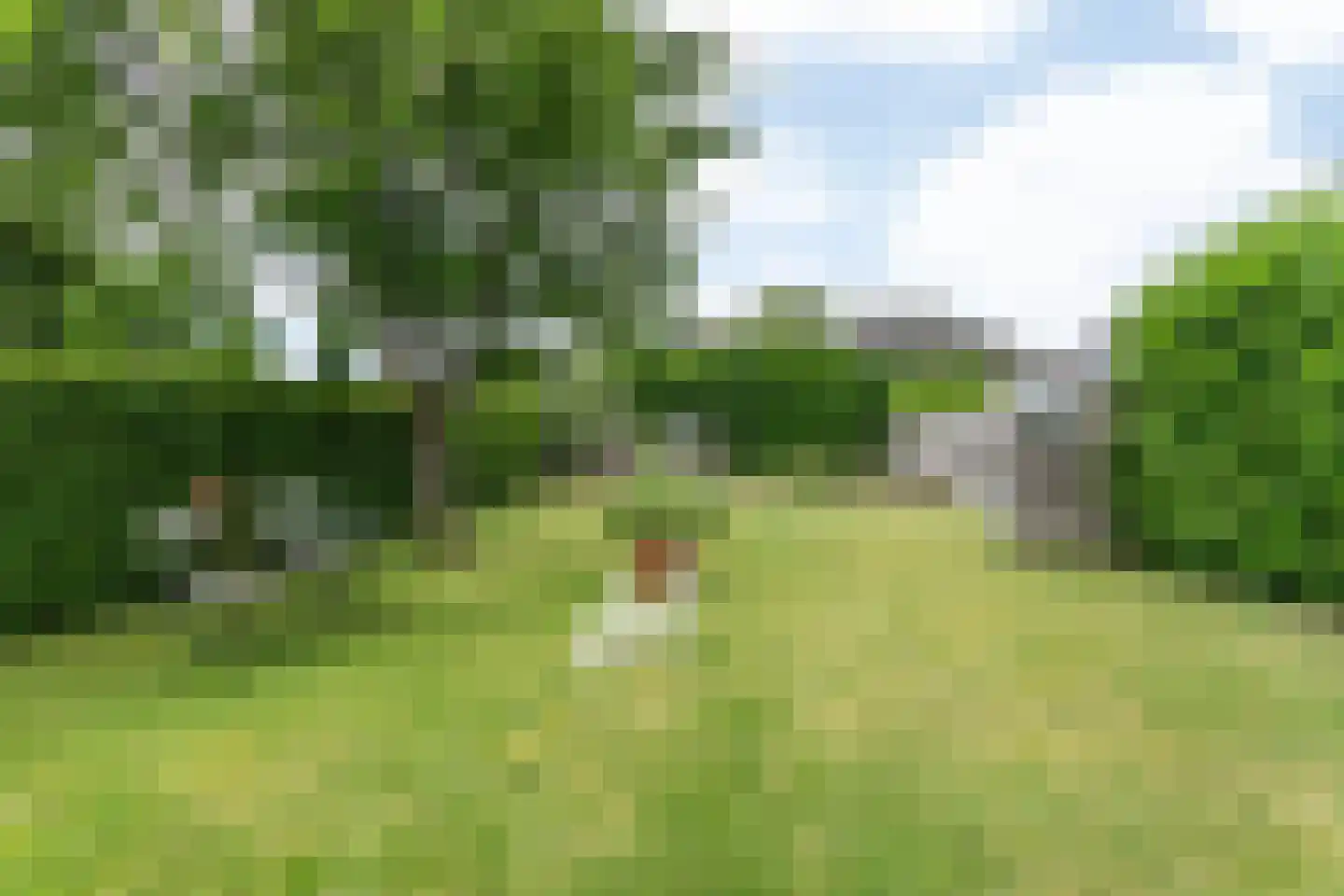 Bouwbergstraat 34 Schinveld thumbnail 37