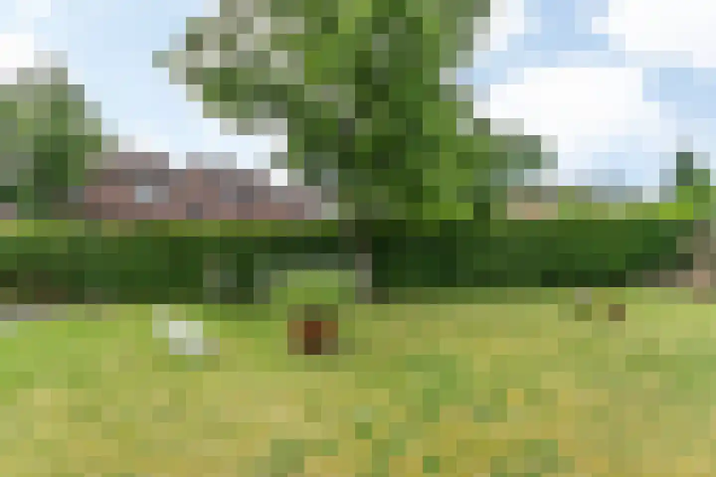 Bouwbergstraat 34 Schinveld thumbnail 40