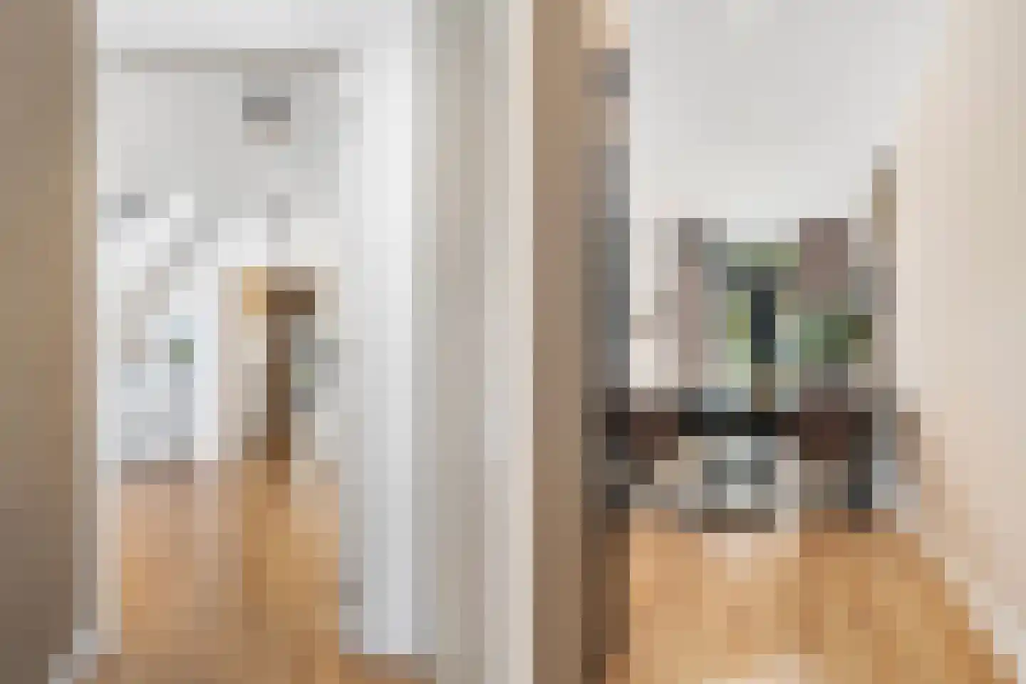 Bouwbergstraat 9 Schinveld thumbnail 8