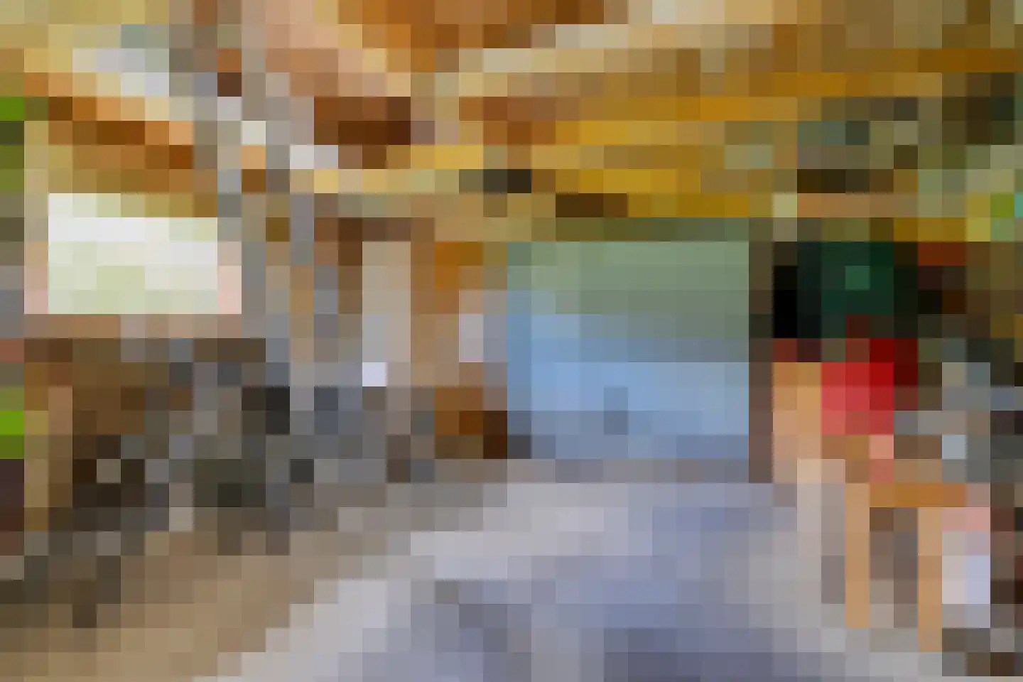 Bouwdijk 21 Melissant thumbnail 33