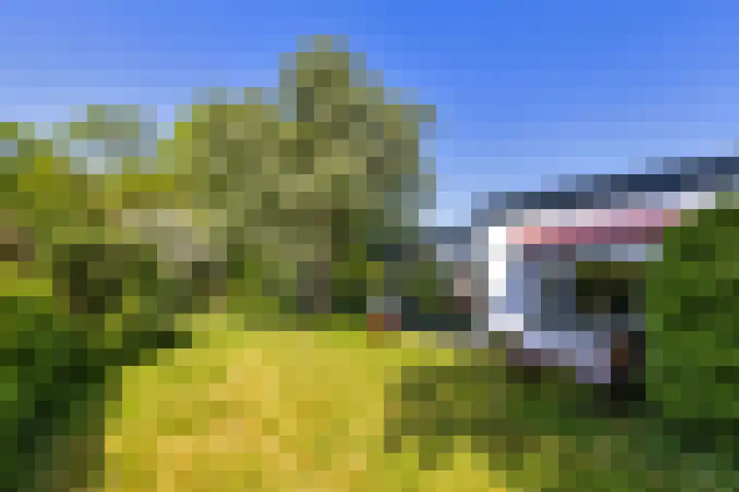 Bouwdijk 21 Melissant thumbnail 39