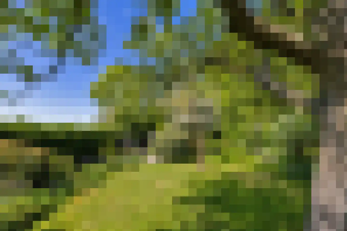 Bouwdijk 21 Melissant thumbnail 41