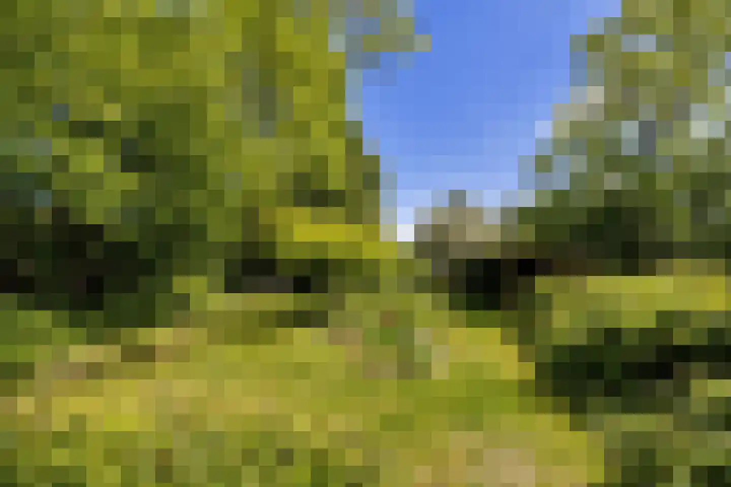 Bouwdijk 21 Melissant thumbnail 43