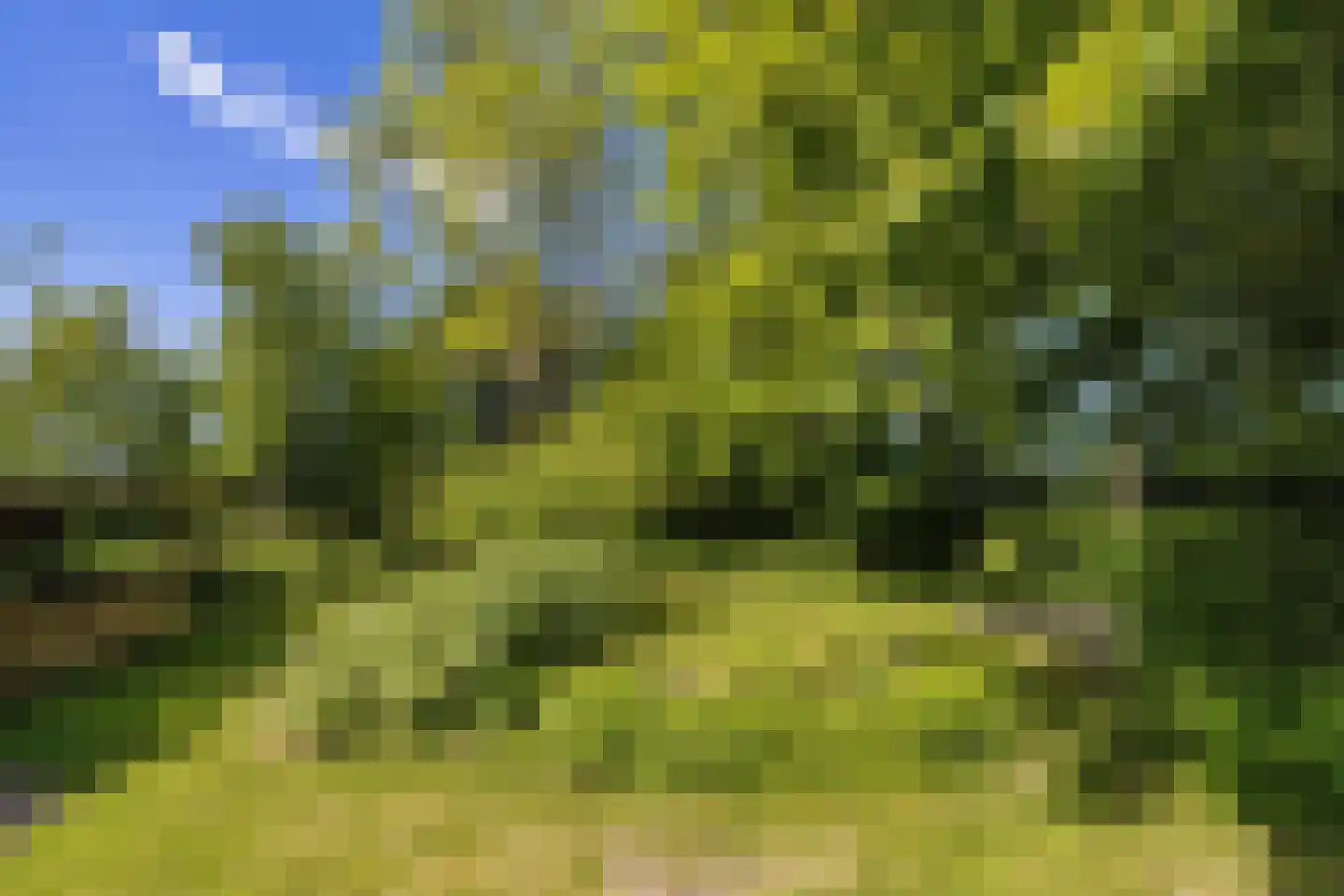 Bouwdijk 21 Melissant thumbnail 44