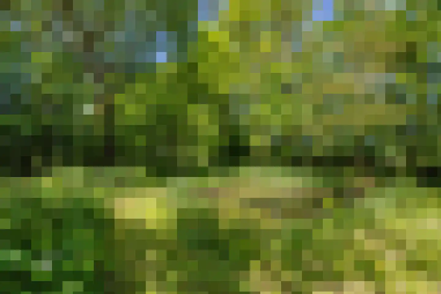 Bouwdijk 21 Melissant thumbnail 45