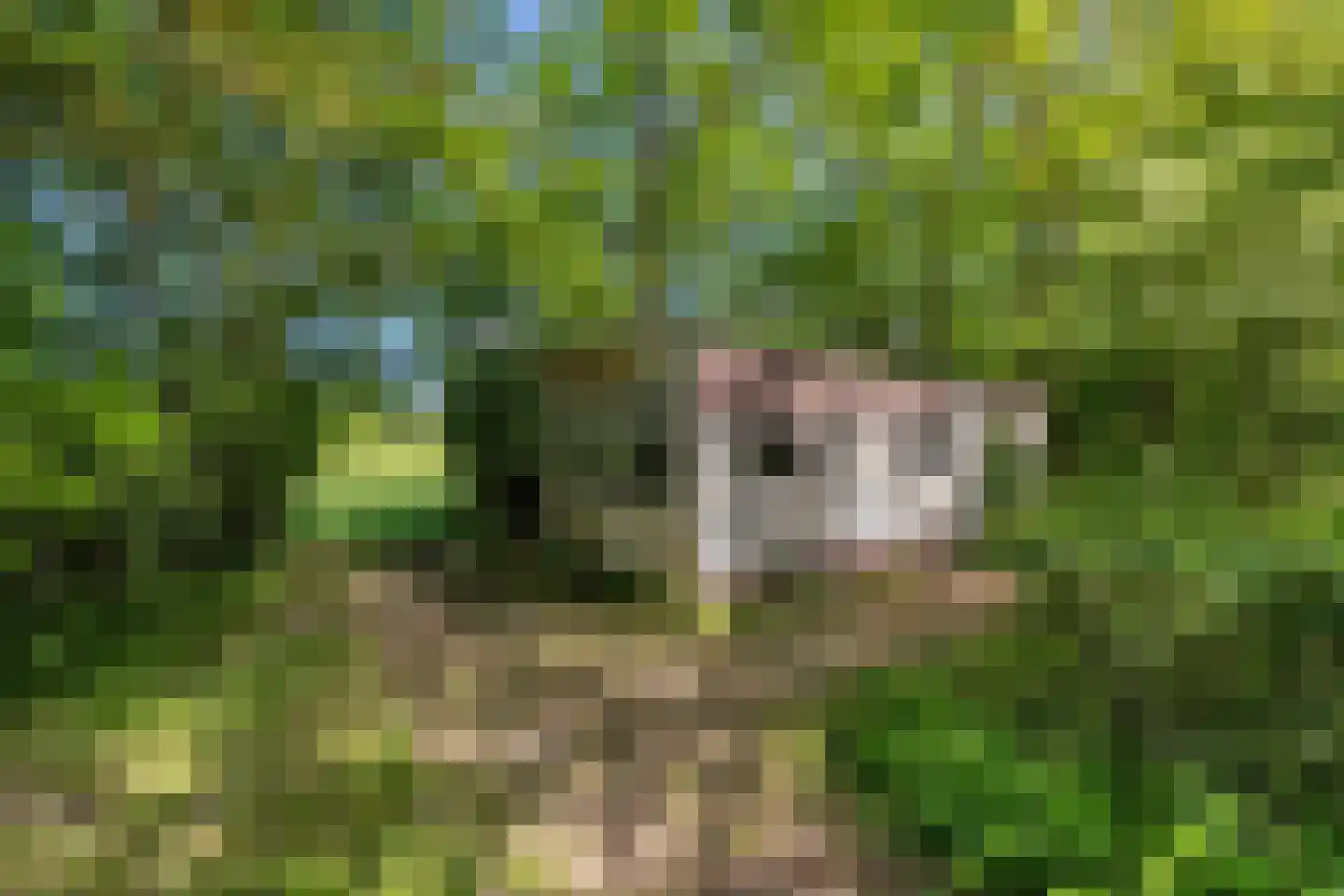 Bouwdijk 21 Melissant thumbnail 48