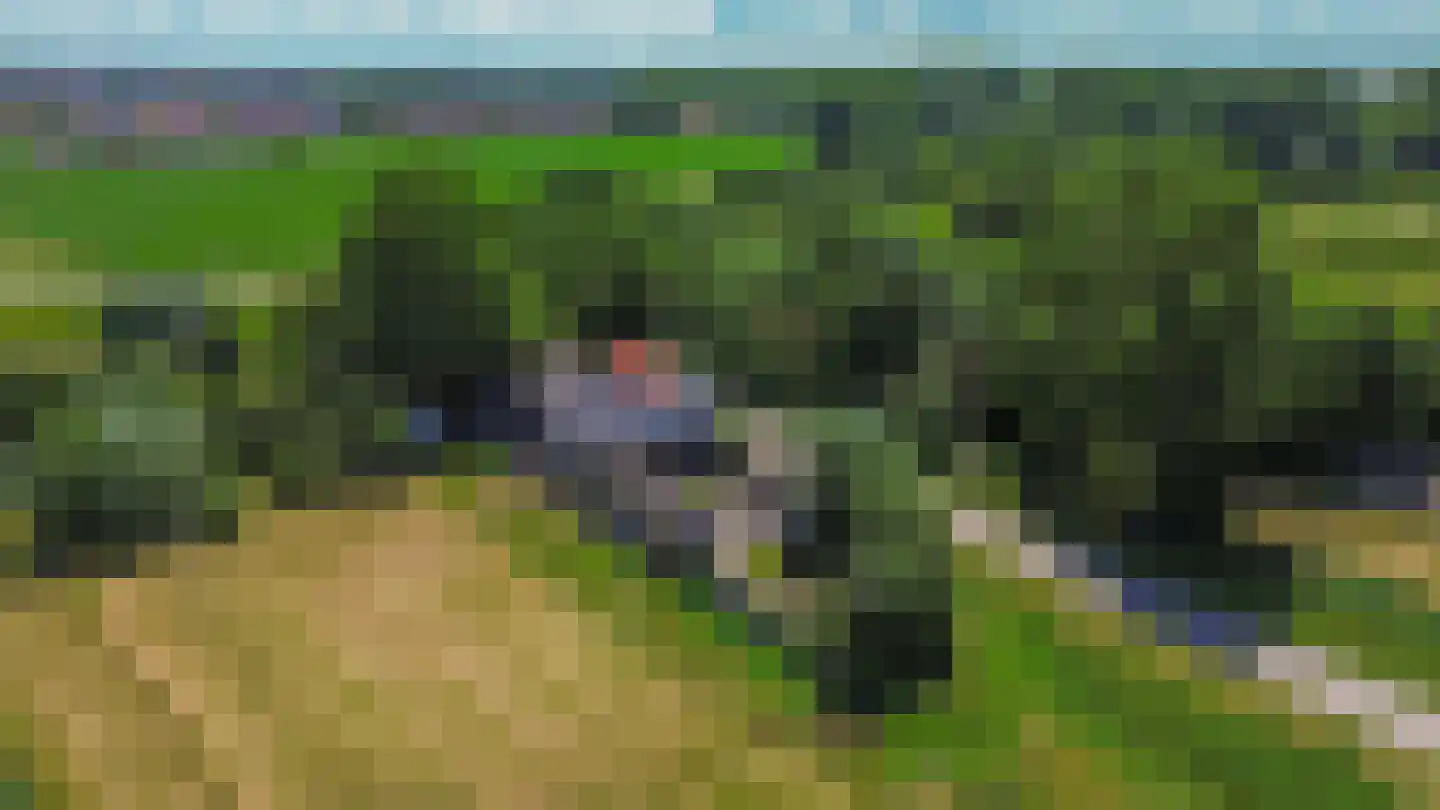Bouwdijk 48 Melissant thumbnail 4
