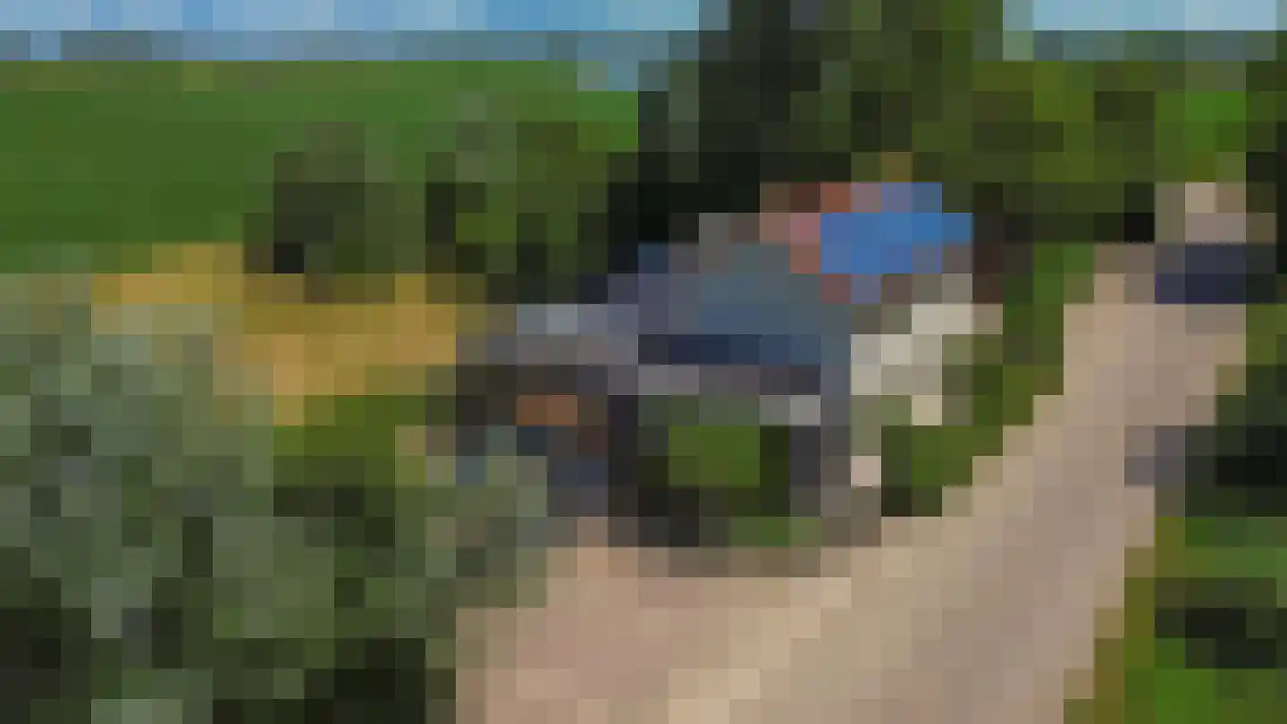 Bouwdijk 48 Melissant thumbnail 53