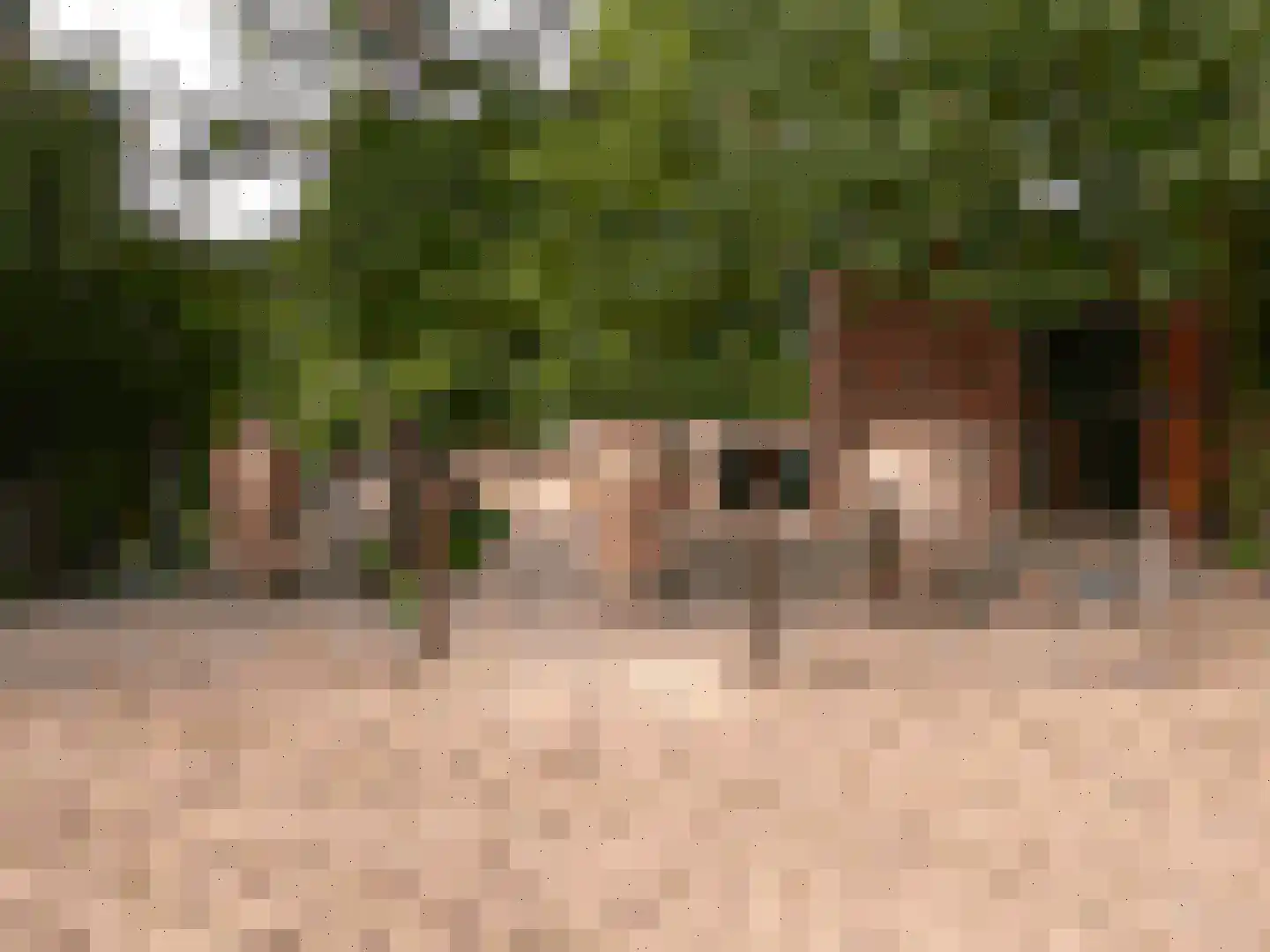 Bouwdijk 48 Melissant thumbnail 58
