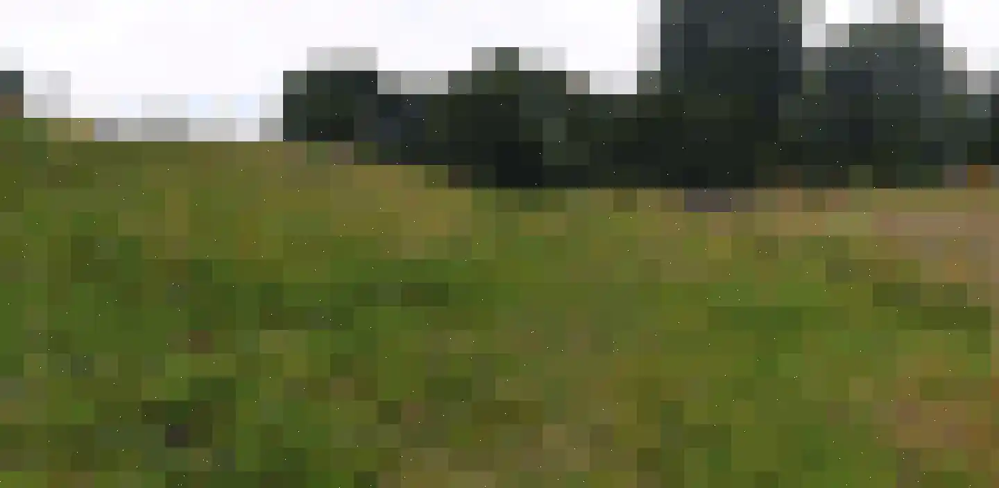 Bouwdijk 48 Melissant thumbnail 60
