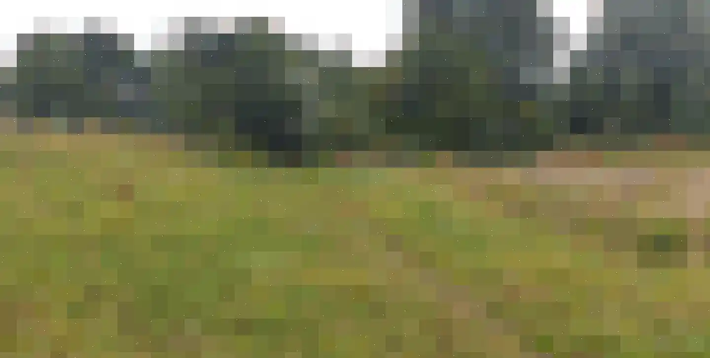 Bouwdijk 48 Melissant thumbnail 61