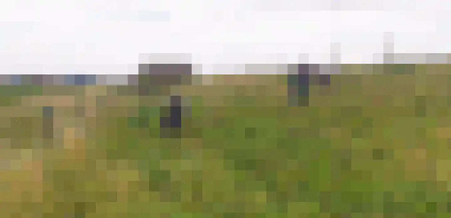 Bouwdijk 48 Melissant thumbnail 62