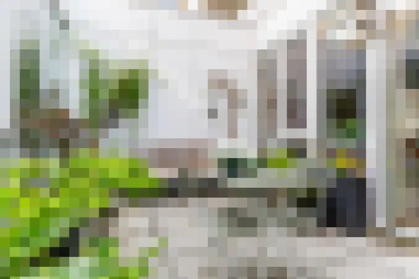 Bouwe Landlaan 24 Apeldoorn thumbnail 23