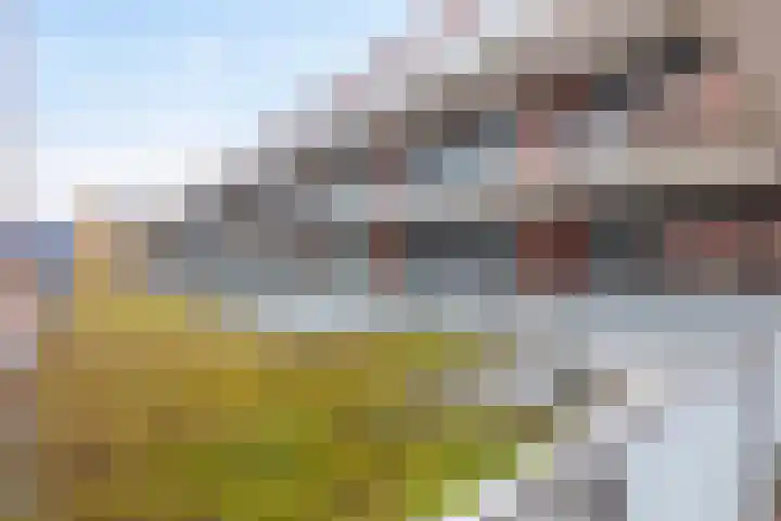 Bouwe Landlaan 42 Apeldoorn thumbnail 21