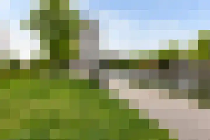 Bouwe Landlaan 42 Apeldoorn thumbnail 30