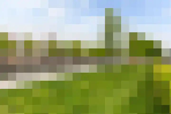 Bouwe Landlaan 42 Apeldoorn thumbnail 32