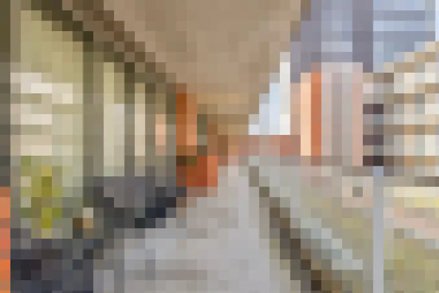Bouwe Landlaan 58 Apeldoorn thumbnail 5