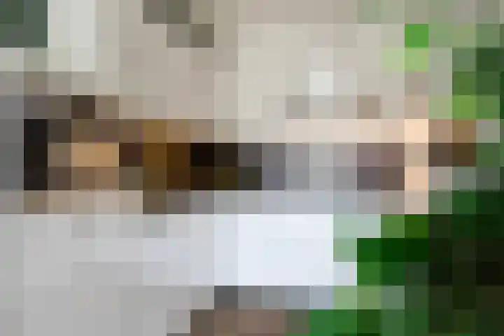 Bouwe Landlaan 60 Apeldoorn thumbnail 10