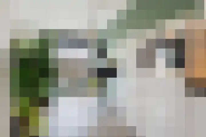 Bouwe Landlaan 60 Apeldoorn thumbnail 11