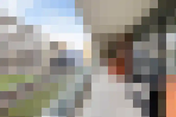 Bouwe Landlaan 60 Apeldoorn thumbnail 22