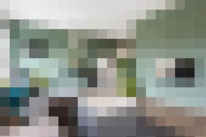 Bouwe Landlaan 60 Apeldoorn thumbnail 5