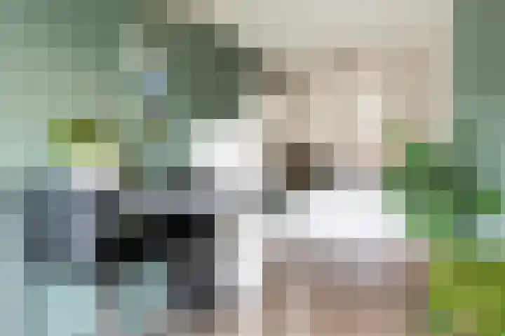 Bouwe Landlaan 60 Apeldoorn thumbnail 8