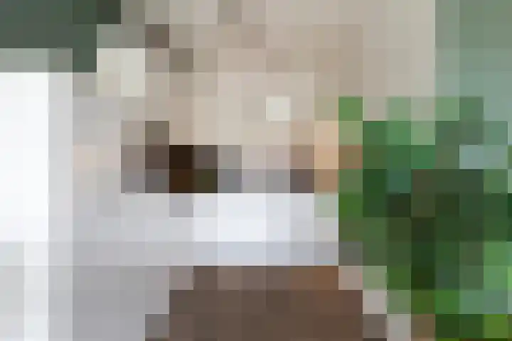 Bouwe Landlaan 60 Apeldoorn thumbnail 9