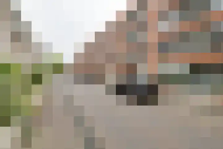 Bouwe Landlaan 62 Apeldoorn thumbnail 22