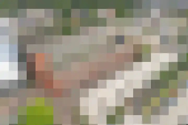 Bouwe Landlaan 62 Apeldoorn thumbnail 24