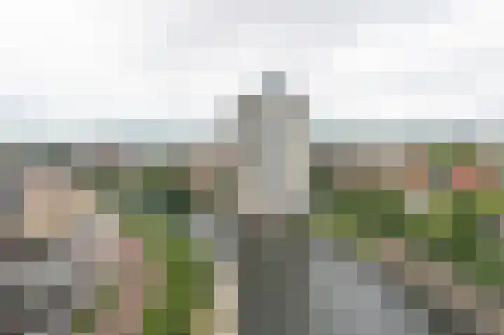 Bouwe Landlaan 62 Apeldoorn thumbnail 25