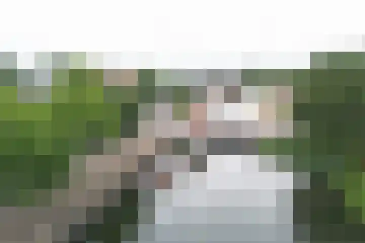Bouwe Landlaan 62 Apeldoorn thumbnail 26