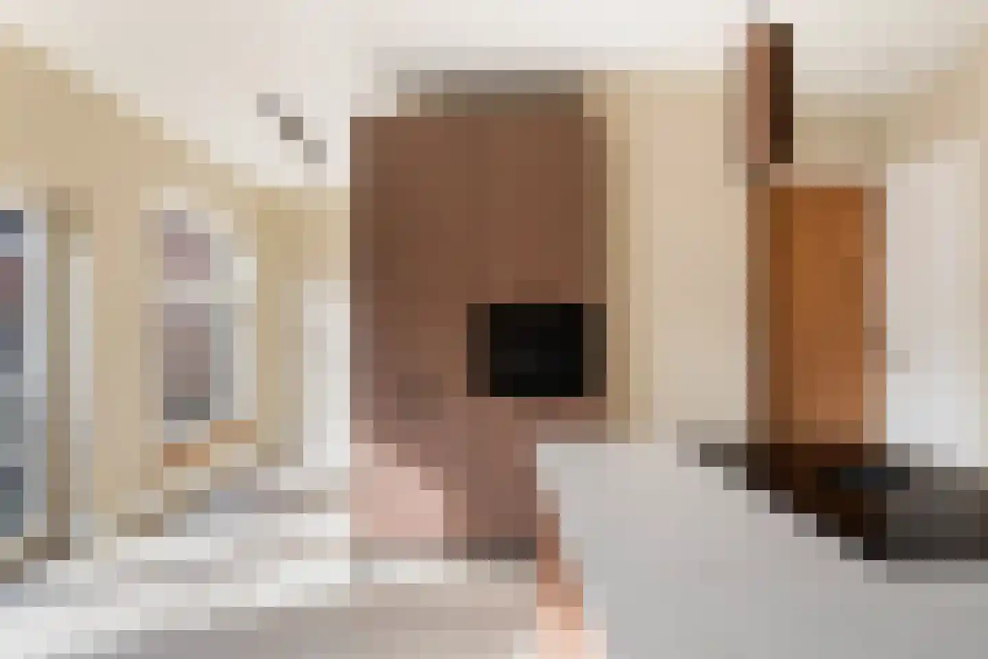 Bouwelouwensteeg 52 F Leiden thumbnail 17
