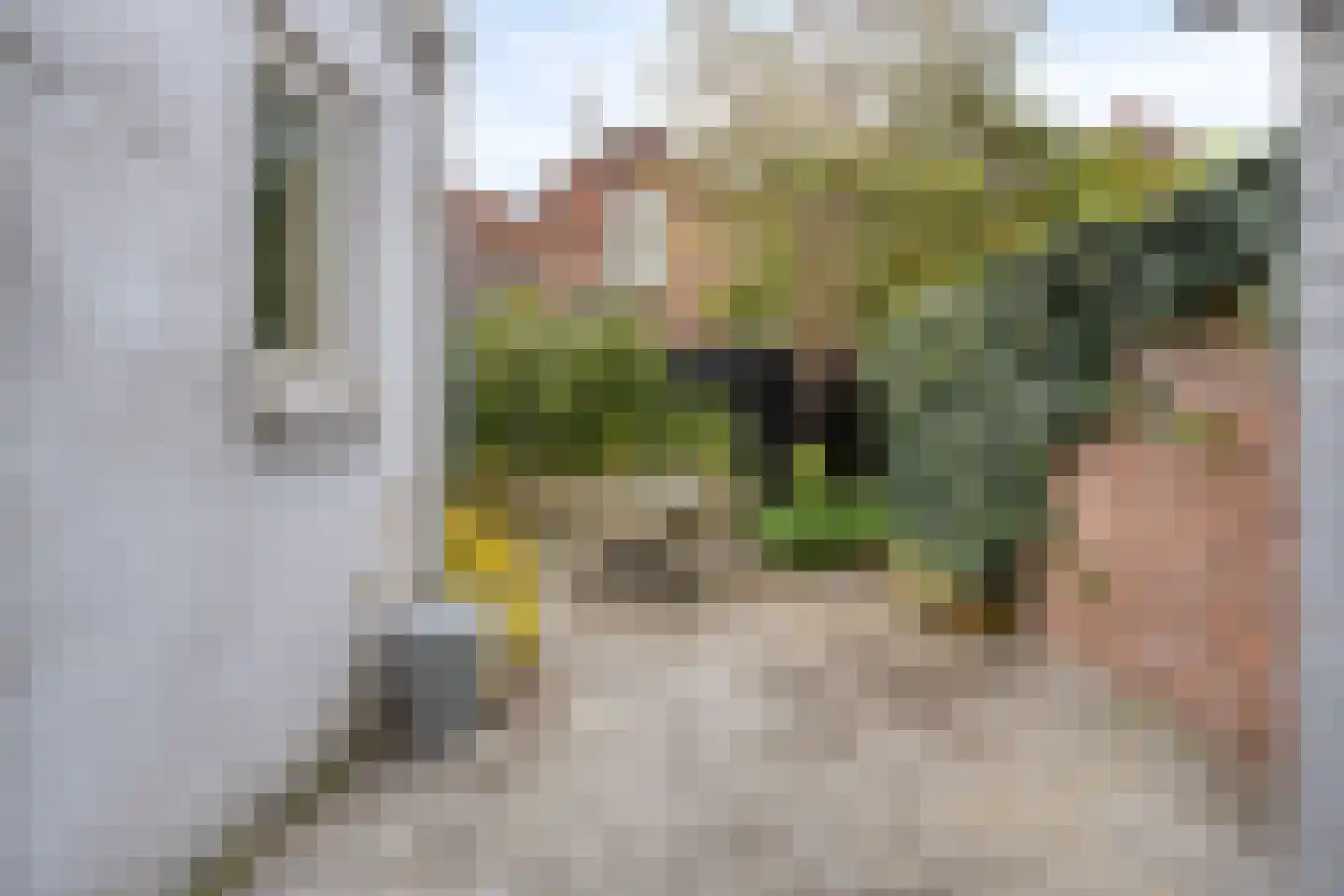 Bouwen Ewoutstraat 56 Vlissingen thumbnail 35