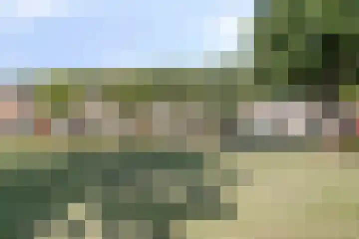 Bouwensland 8 Zevenbergen thumbnail 33