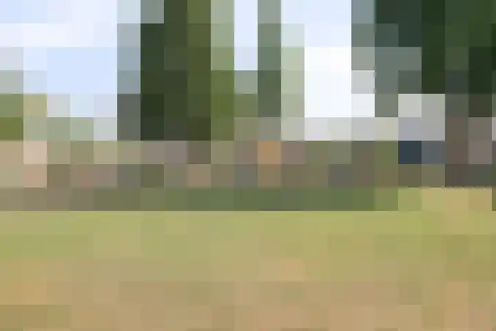 Bouwensland 8 Zevenbergen thumbnail 34