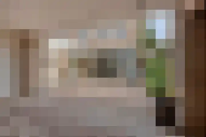 Bouwensstraat 12 Boekel thumbnail 32
